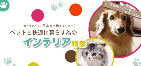 島根 DIY＆リフォームショップREROOM【ペット特集 滑り止め】